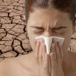 Se estima que ocho millones de españoles sufren alergia al polen