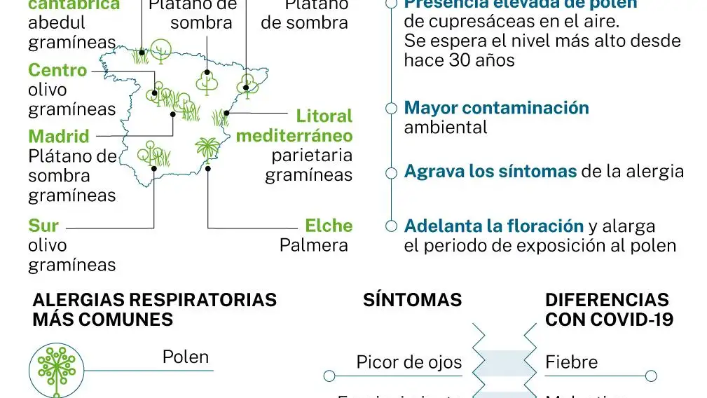 Alergias de invierno