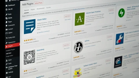 Sección de "plug-ins" en el administrador de una página web creada con WordPress.