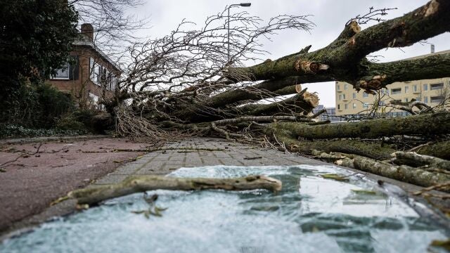 La tormenta Eunice, el peor temporal en más de 30 años en el Reino Unido, paralizó ayer al país, obligando a Downing Street a decretar “alerta roja”