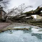 La tormenta Eunice, el peor temporal en más de 30 años en el Reino Unido, paralizó ayer al país, obligando a Downing Street a decretar “alerta roja”