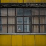 Una mujer mira por la ventana de su apartamento en Sievierodonetsk, en la región de Lugansk controlada por el gobierno ucraniano.