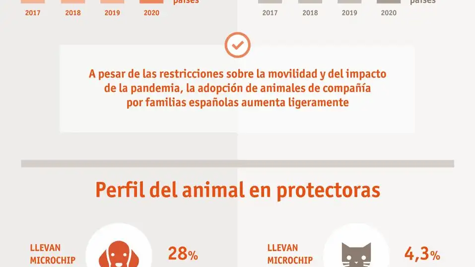 Infografía del Estudio de abandono y adopción de perros y gatos en España 2021 | Fuente: Fundación Affinity