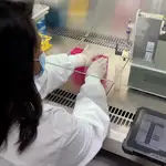 Rubaiya Hussain analiza muestras de saliva con el dispositivo en el Laboratorio de Biología del ICFO.