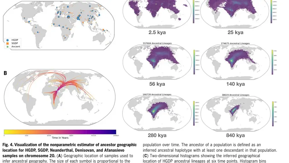 Mapas que muestran las expansiones de las relaciones de parentesco en diferentes momentos de la historia de la humanidad: desde hace 840.000 años hasta hace 2.500 años