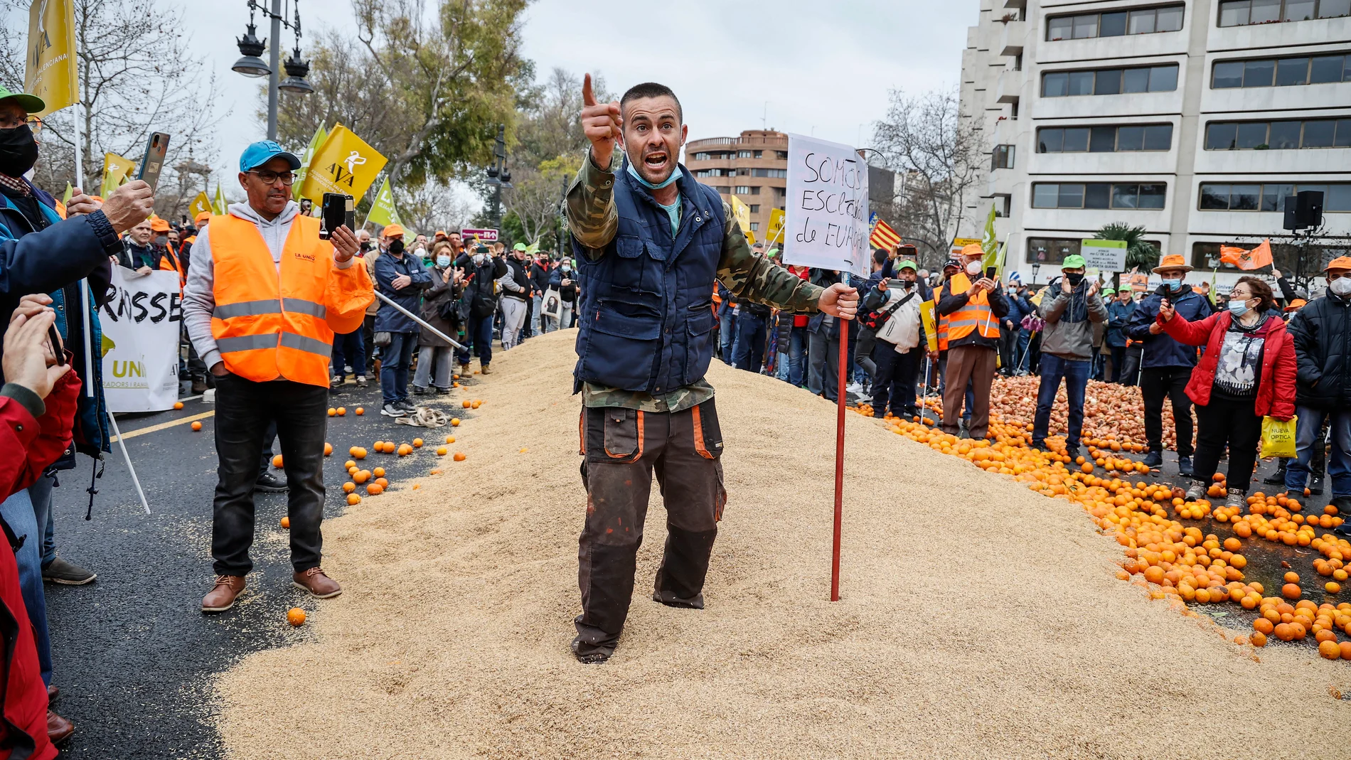 Varios agricultores tiran naranjas y cereal como protesta, en la concentración de ayer por la “supervivencia” del campo valenciano