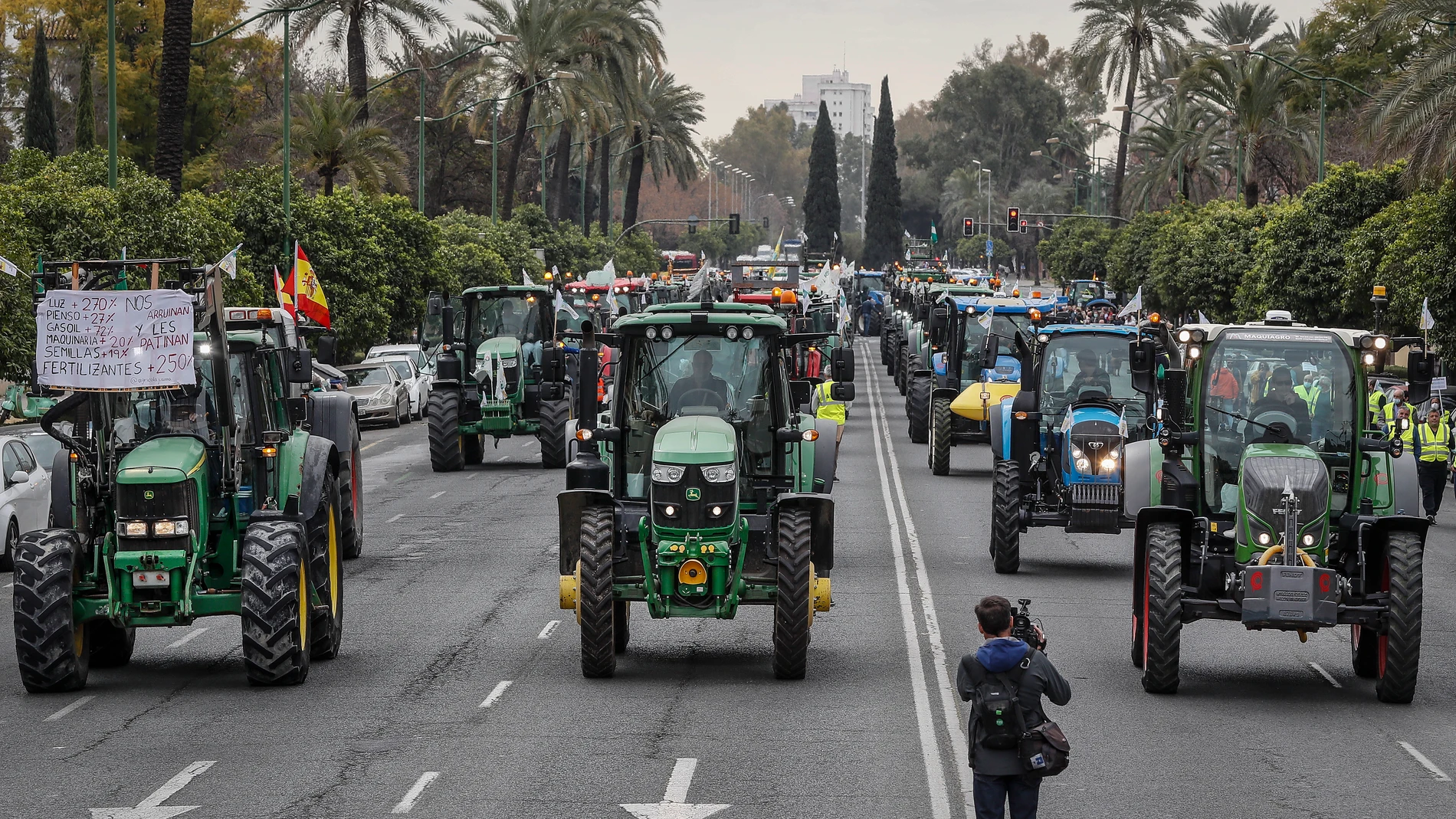 Cientos de agricultores y ganaderos de toda Andalucía, convocados por las organizaciones agrarias, marchan por la avenida de La Palmera de Sevilla. EFE\ José Manuel Vidal
