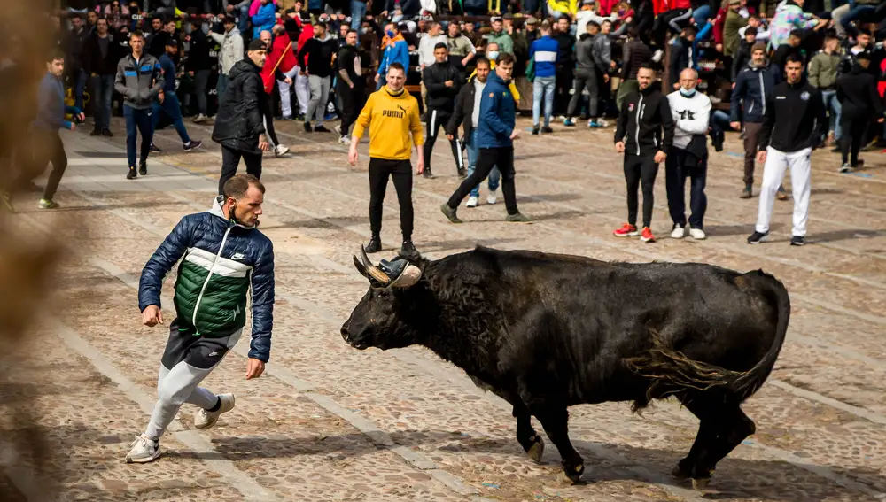 Carnaval del Toro en Ciudad Rodrigo(Salamanca)