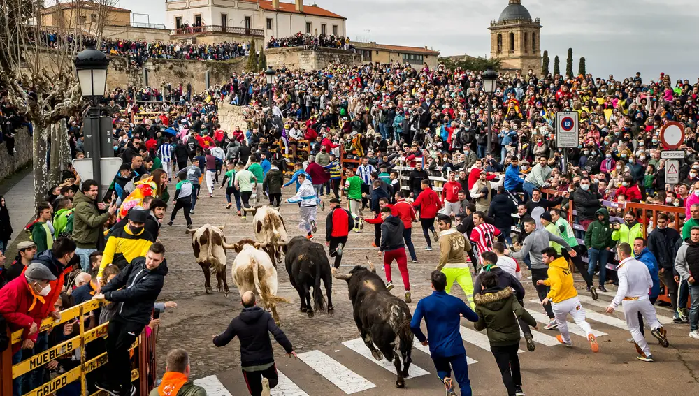 Carnaval del Toro en Ciudad Rodrigo(Salamanca)