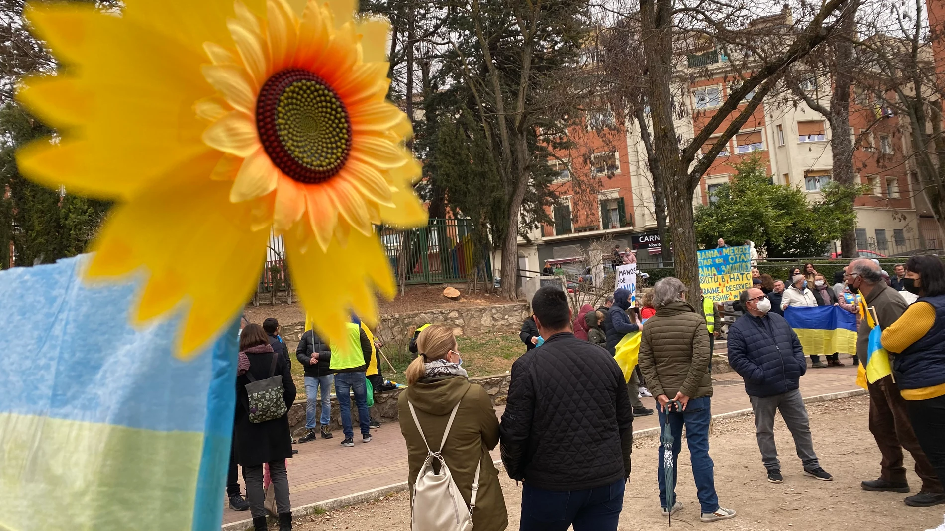 El girasol, la flor de Ucrania, junto a un grupo de personas en contra de la invasión. EFE/Lorena Mayordomo