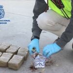 Parte de la droga incautada