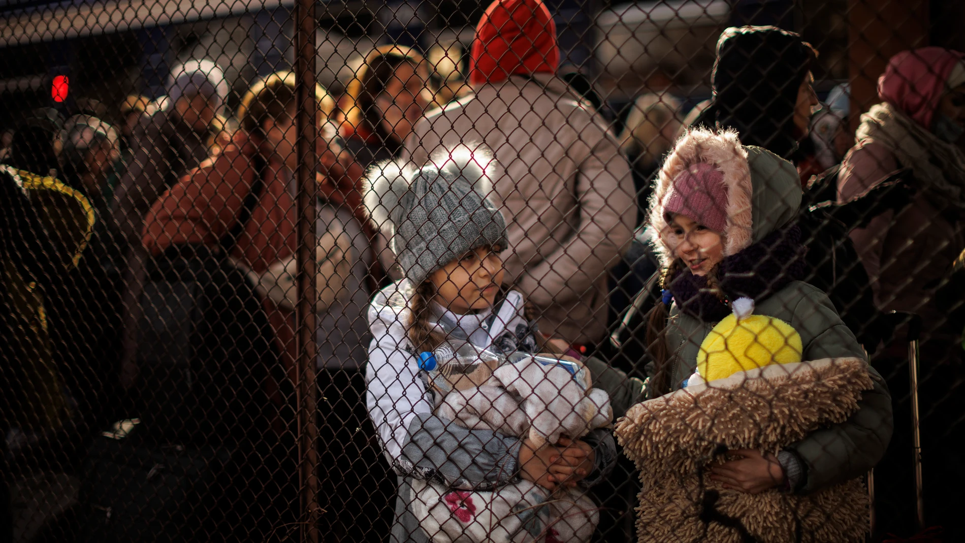 Refugiados procedentes de Ucrania se reencuentran con sus familiares a su llegada a la estación de tren de Przemsyl (Polonia) | Fuente: EFE/ Biel Aliño