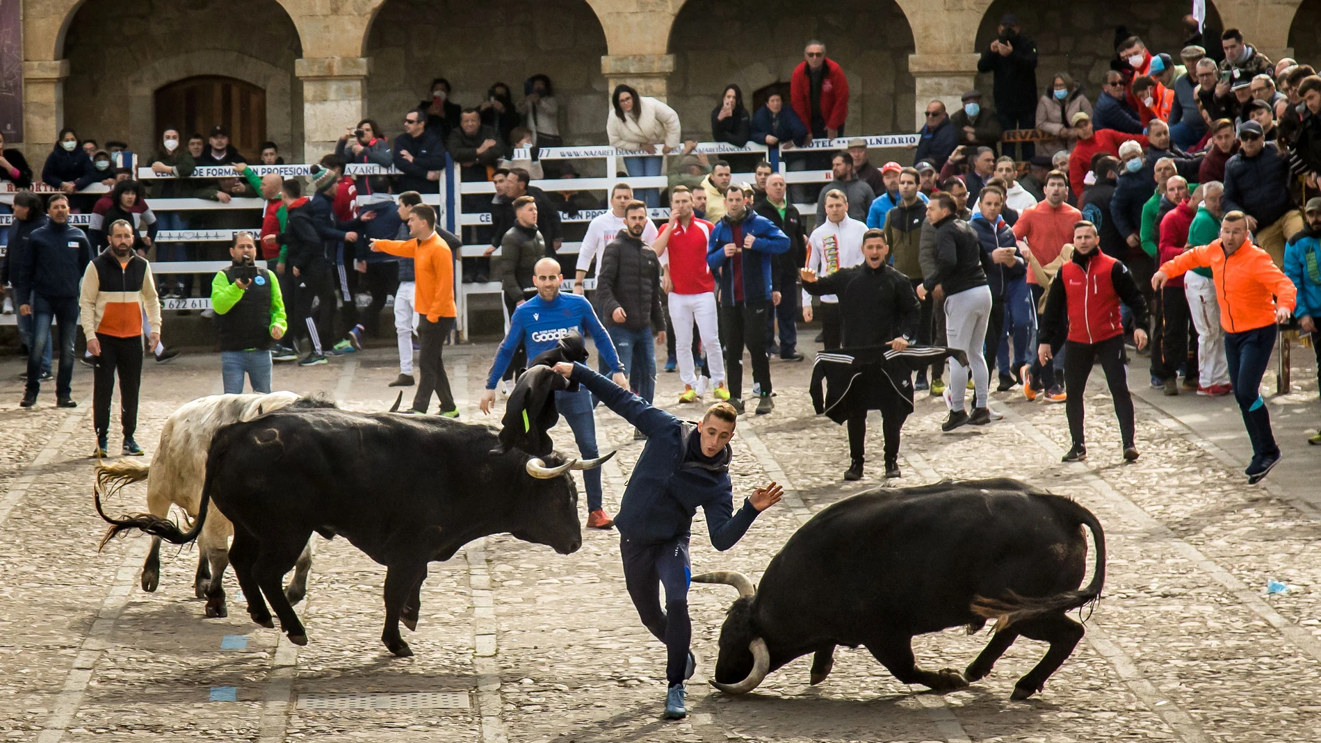 Encierro del carnaval del Toro en Ciudad Rodrigo(Salamanca)