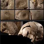 Un estudio presenta el análisis tafonómico-forense de los cráneos de la Sima de los Huesos (Atapuerca, Burgos)