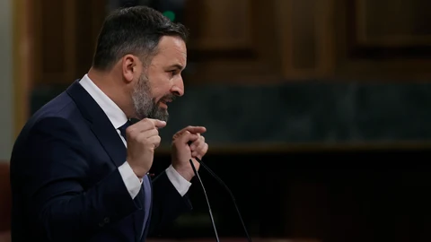 El líder de Vox, Santiago Abascal durante la sesión plenaria en el Congreso este miércoles. EFE/ Emilio Naranjo