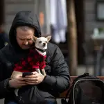 Imagen de un perro con un abrigo en los brazos de su dueño mientras este mira su teléfono movil.