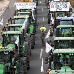 Una manifestación de agricultores y ganaderos formada por numerosos tractores recorrió la semana pasada un tramo de la A-92 en Antequera (Málaga)