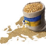 Ucrania lidera la produccion mundial de todo tipo de cereales y es el país de Europa con mayor porcentaje de tierra cultivable