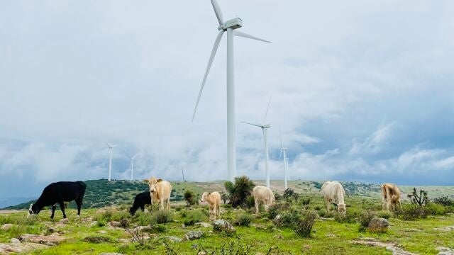 El bono verde de Banco Santander permitirá financiar proyectos de energía eólica y solar