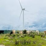 El bono verde de Banco Santander permitirá financiar proyectos de energía eólica y solar