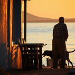 Un hombre anciano con un perro mirando el atardecer en la costa