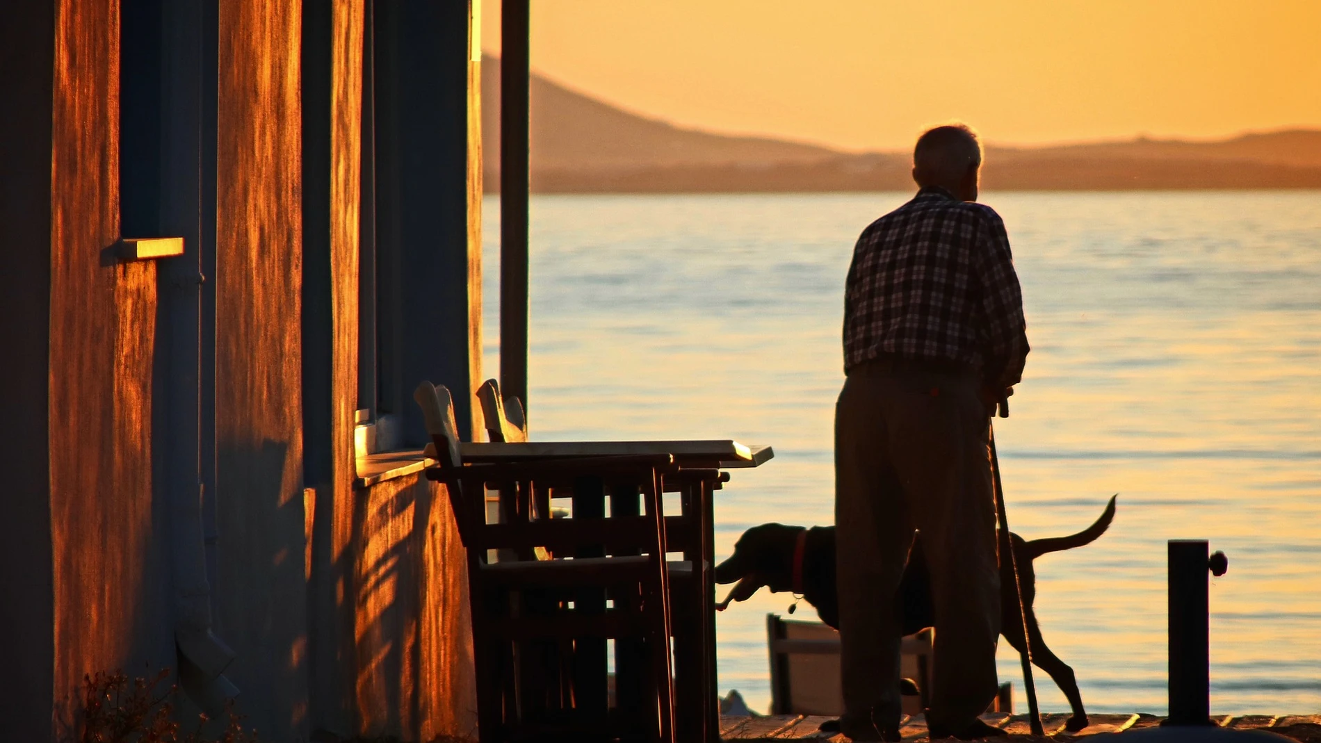 Un hombre anciano con un perro mirando el atardecer en la costa