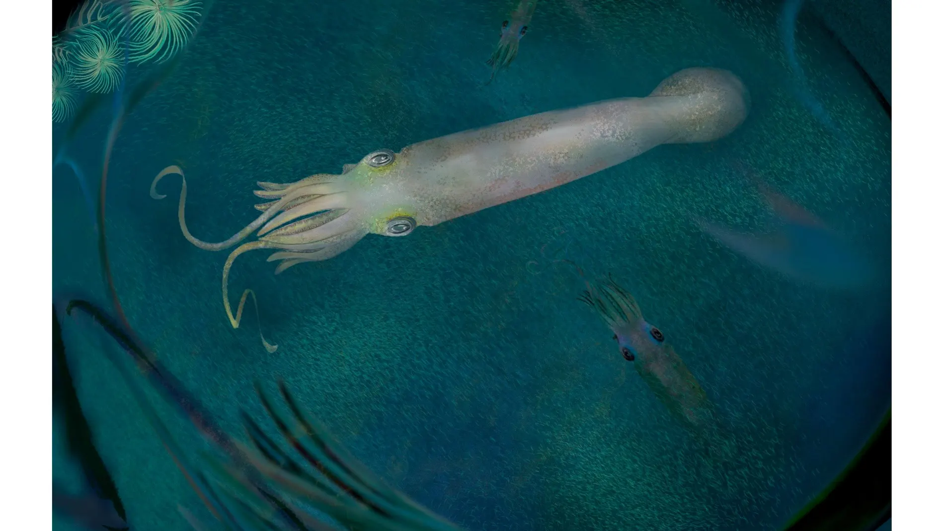 Reconstrucción artística del nuevo vampirópodo Syllipsimopodi bideni, parecido a un calamar largo