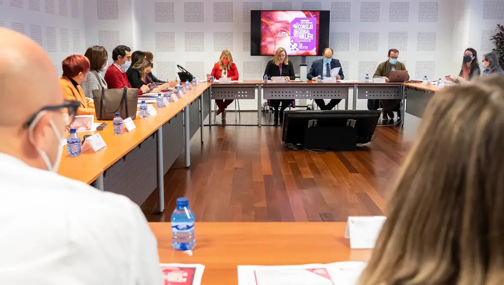 La consejera de Familia e Igualdad de Oportunidades, Isabel Blanco, preside la reunión del Consejo Regional de la Mujer de Castilla y León