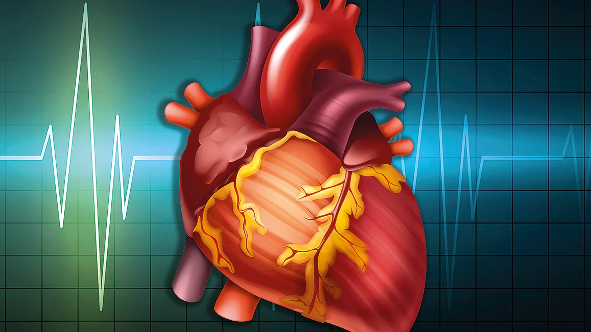 Hipertensión y riesgo cardiovascular - Fundación Española del Corazón