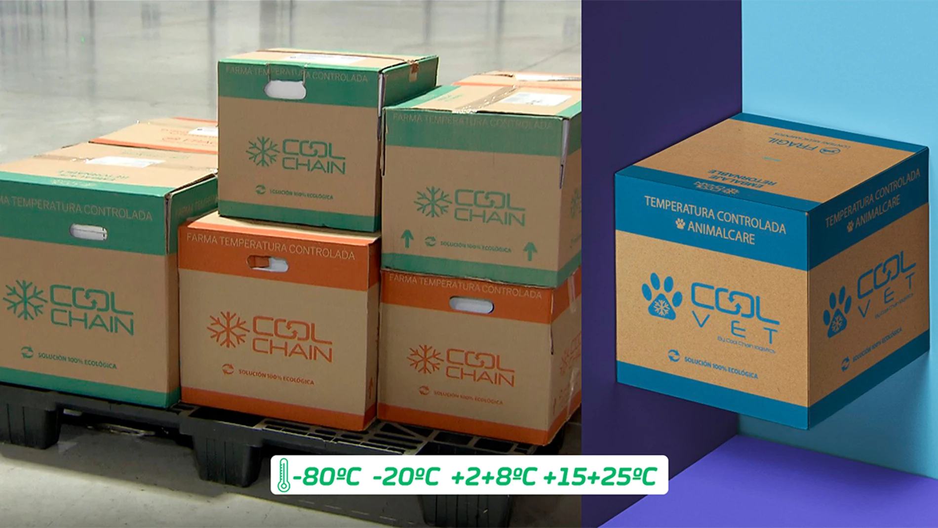 Coolchain, empresa especializada en la logística a temperatura controlada para el sector sanitario.