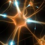 Descubren el grave impacto en las funciones cerebrales del trabajo por turnos
