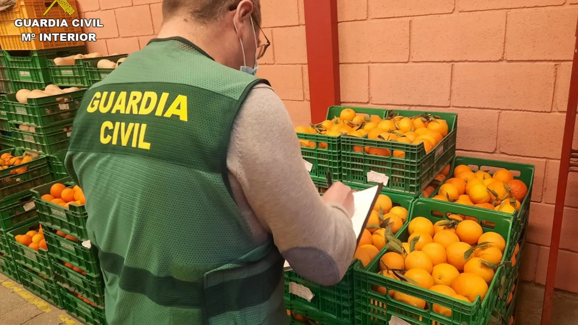 La Guardia Civil ha conseguido prohibir la venta de estas naranjas contaminadas