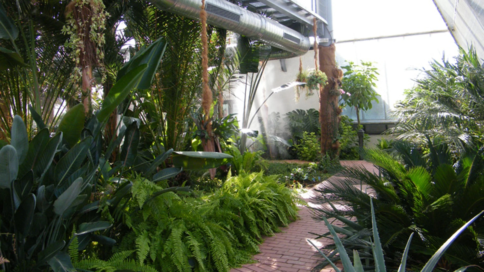 Jardín Botánico de Arroyo de la Encomienda