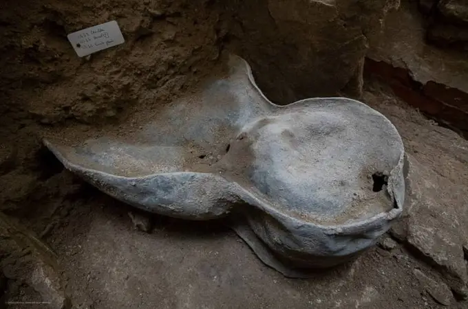 Hallazgo: sarcófago de 700 años descubierto bajo Notre Dame