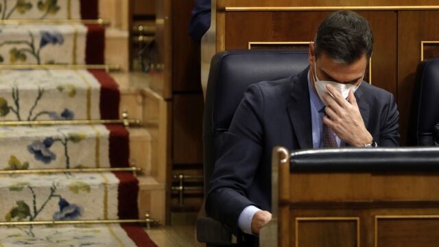 Sesion de control en el Congreso de los Diputados. Pedro Sanchez.