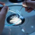 La frecuencia de la ICD en España no está suficientemente caracterizada, pero la elevada y creciente utilización de los antibióticos de amplio espectro son factores que favorecen el crecimiento de esta enfermedad.