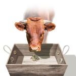 Agricultores y ganaderos temen no tener suficiente cereal, en 45 días, para dar de comer a los animales