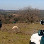 Búsqueda de una mujer de 71 años desaparecida en Abelón (Zamora) mientras pastoreaba sus ovejas