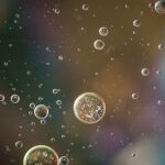Esferas de aceite como las que usaron en la Universidad de Tokio para encapsular el ARN.