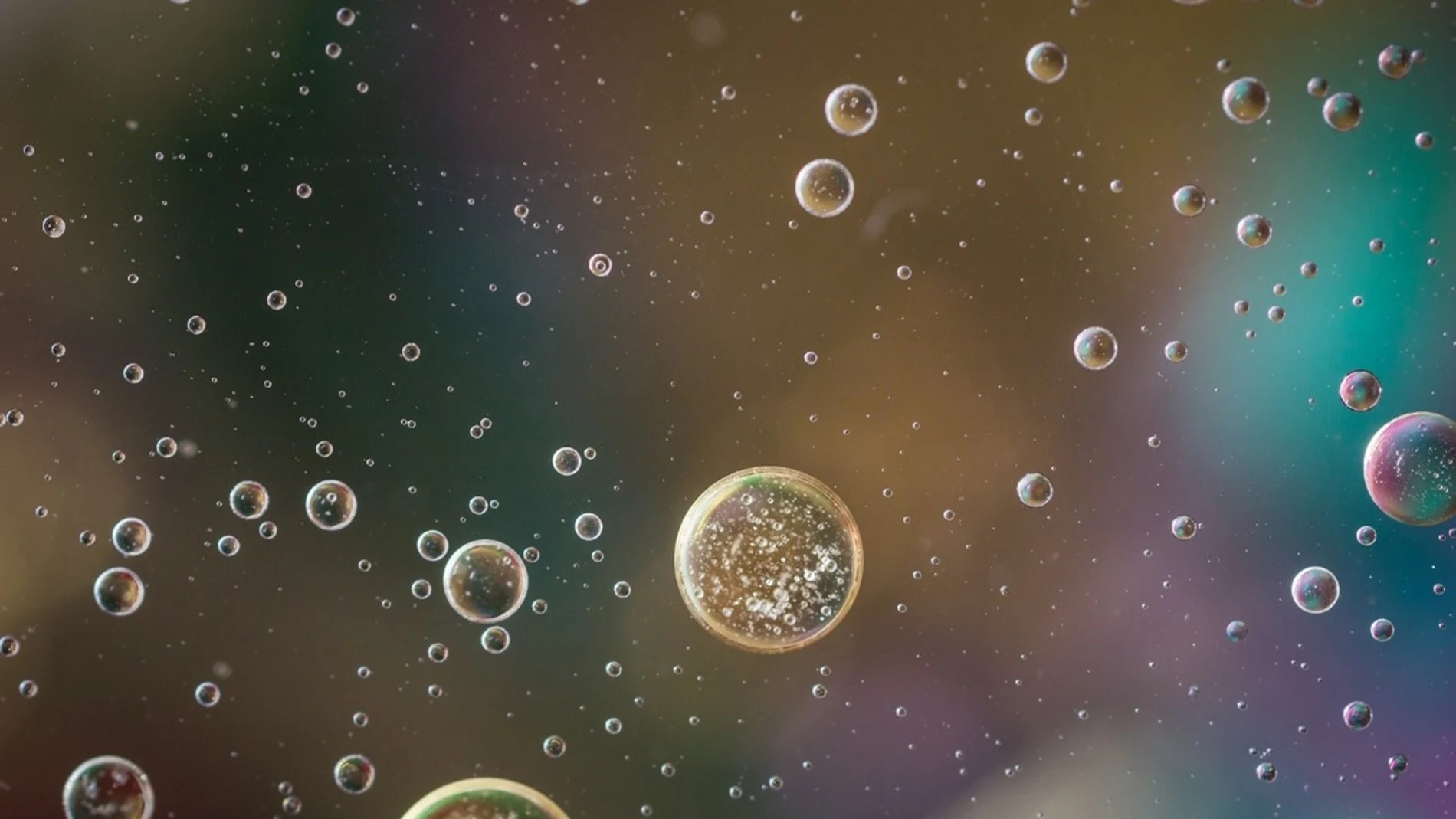 Esferas de aceite como las que usaron en la Universidad de Tokio para encapsular el ARN.