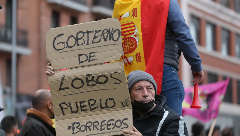 Un manifestante, sostiene una pancarta que reza 'Gobierno de lobos, pueblo de borregos', en la marcha ‘20M’ en Madrid