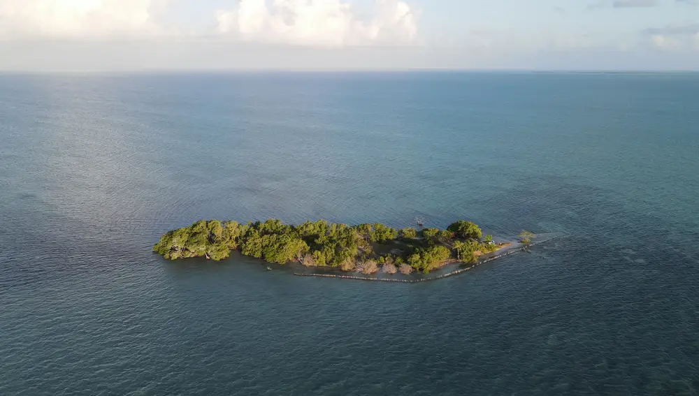 Coffee Caye
