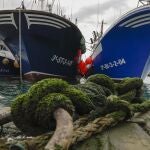 Tres barcos pesqueros amarrados en el puerto de Santurce (Vizcaya)
