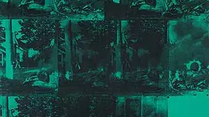 &quot;Green car crash&quot;