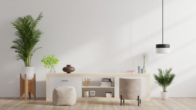 Plantas de interior
