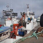 La Comisión Europea pide el cumplimiento del Pacto Verde Europeo y la Estrategia de Biodiversidad hasta 2030. En la imagen, unos barcos pesqueros en Isla Cristina (Huelva)