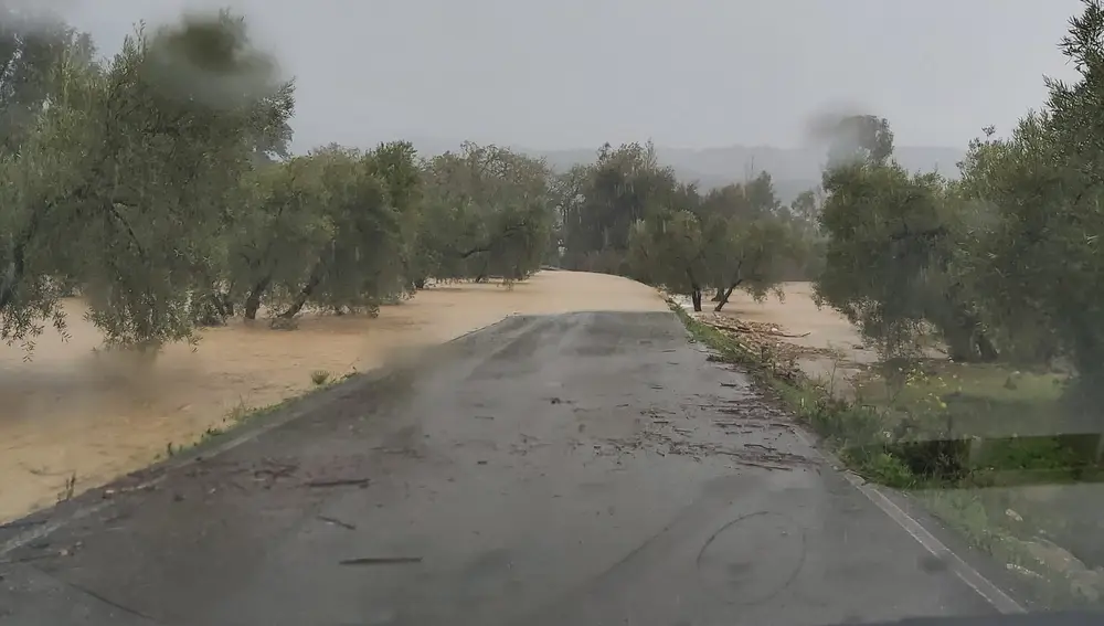 Carretera de El Burgo a Casarabonela afectada por las últimas lluvias. DIPUTACIÓN DE MÁLAGA