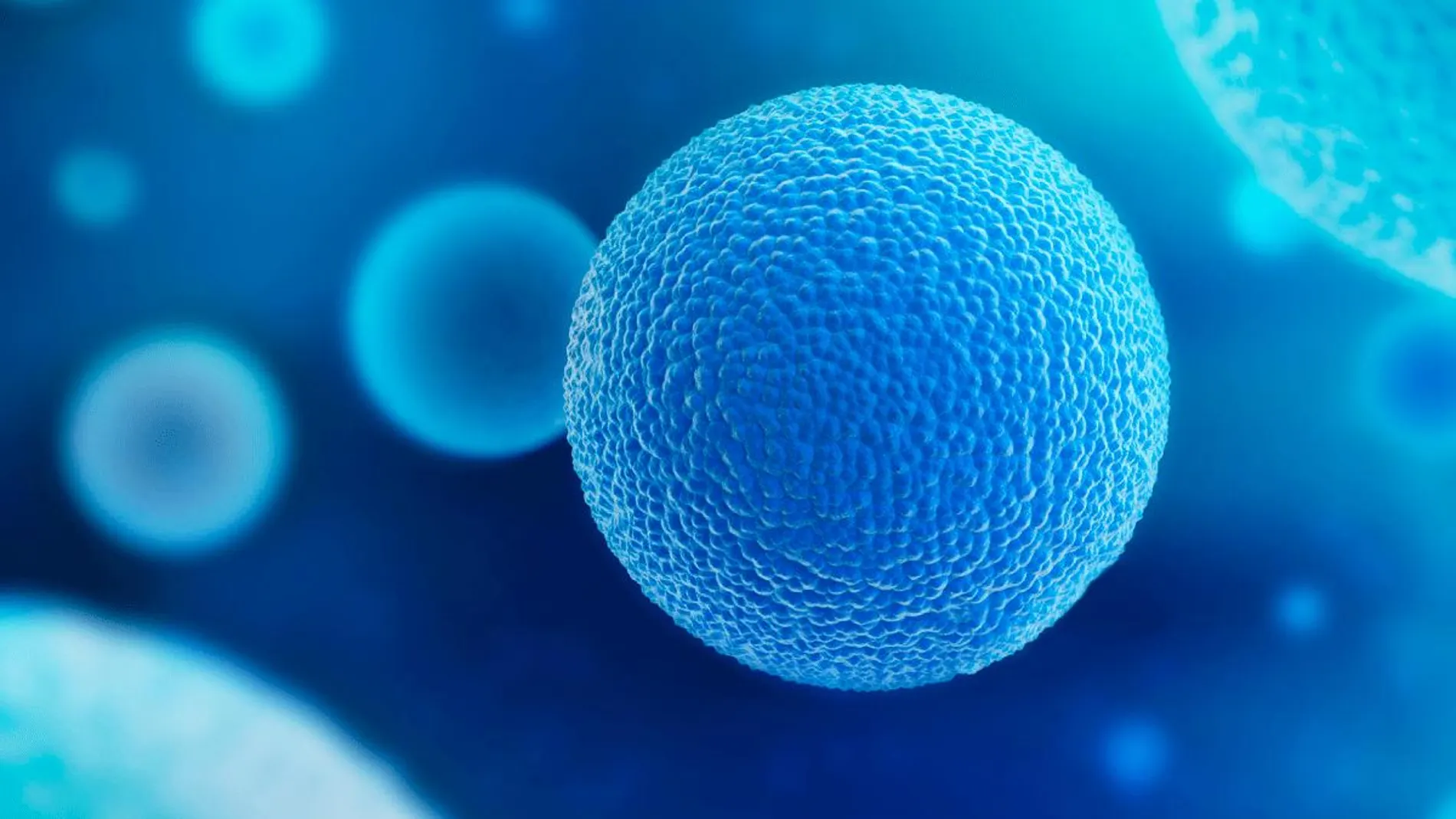 La creación de óvulos artificiales podría ser la solución a la mayor causa actual de infertilidad