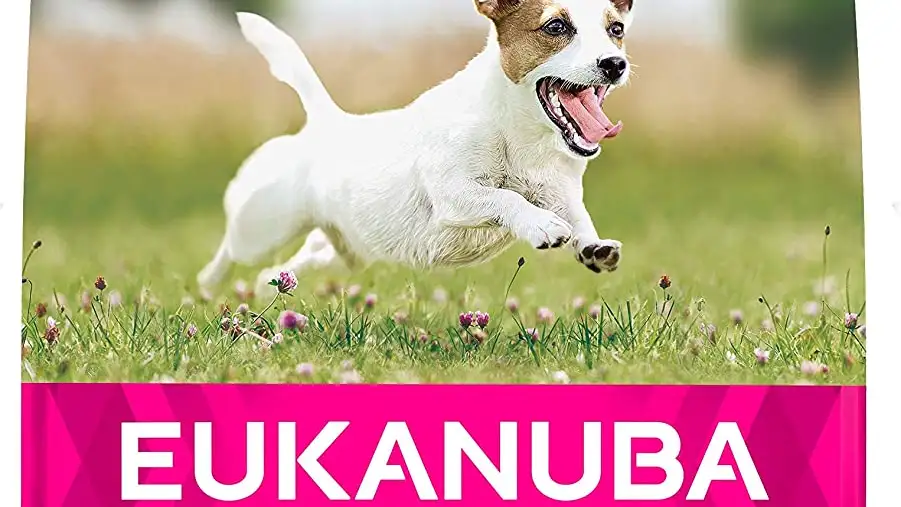 Pienso para perros pequeños adultos Eukanuba