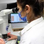 La primera autora del estudio, Melissa Faria, observa larvas de peces tratadas con el insecticida.